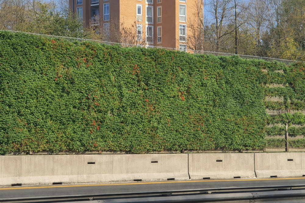 Barriera antirumore con parete vegetale - vista 2